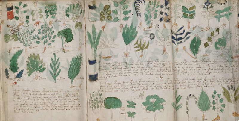 ▷ Manuscrito Voynich ¡Significado, origen y TODA la información!