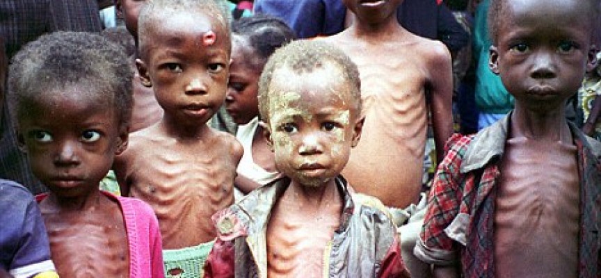 la desnutrición infantil 