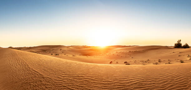 soñar con arena del desierto