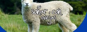 Soñar con ovejas