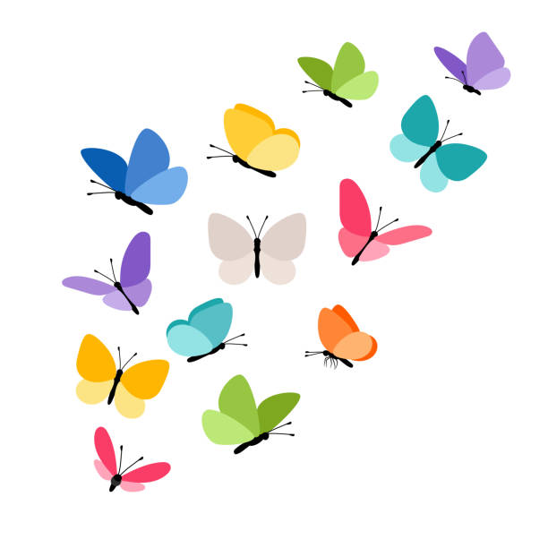 que significa soñar con 4 mariposas 